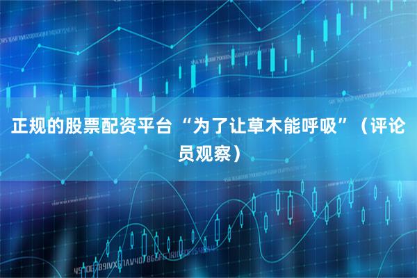 正规的股票配资平台 “为了让草木能呼吸”(评论员观察)