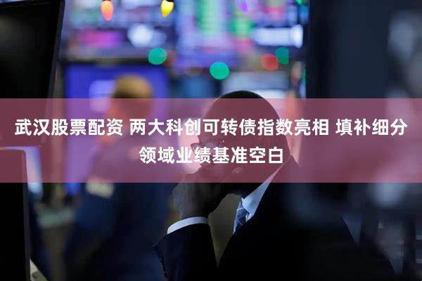武汉股票配资 两大科创可转债指数亮相 填补细分领域业绩基准空白